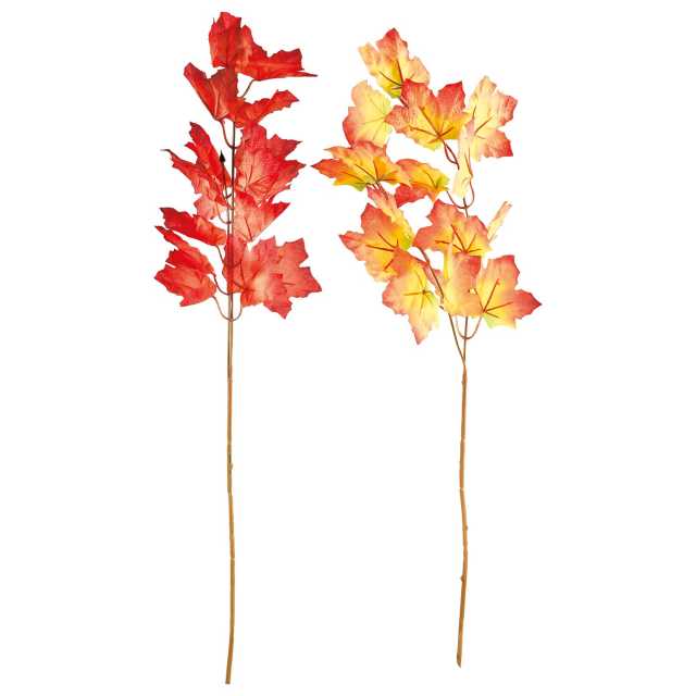 Zweig Herbstblätter