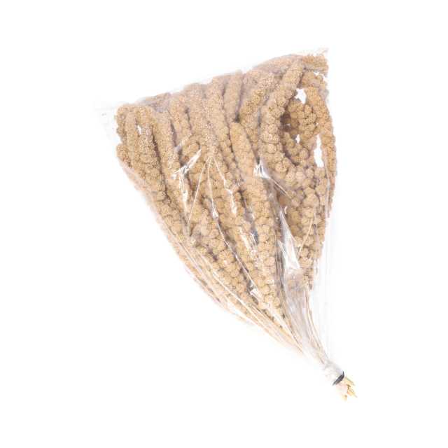 Kolbenhirse gemischt 500g