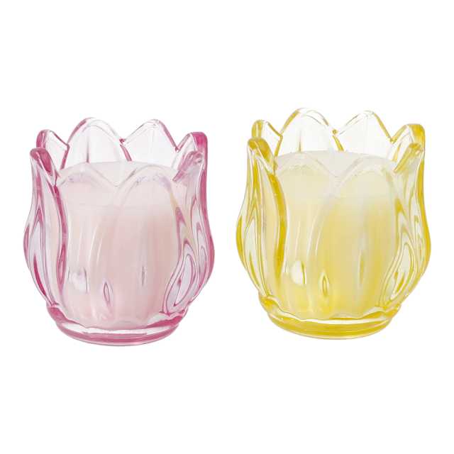 novooo Kerze Glas Tulpe