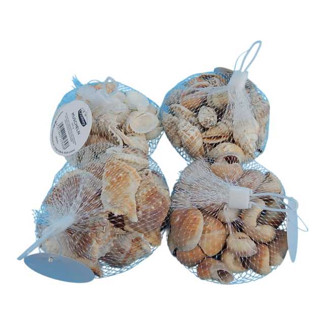 Deko–Muscheln im Netz