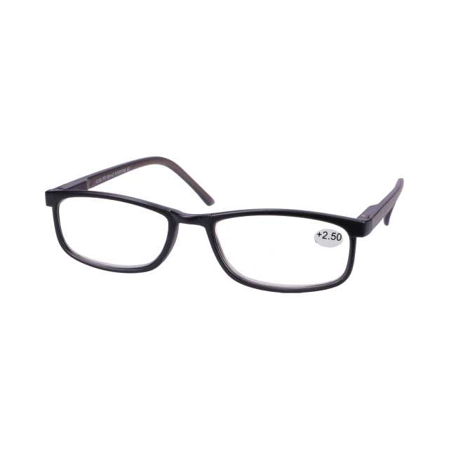 Star Optic Lesehilfe MD4 aus Kunststoff +2,5 Dioptrien schwarz/grau