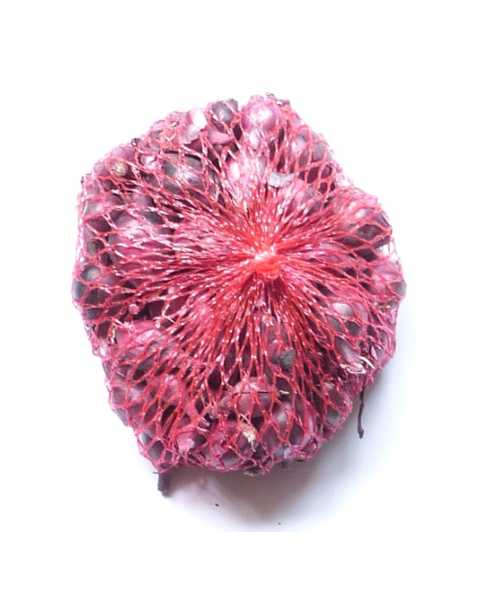 Steckzwiebeln Red Baron