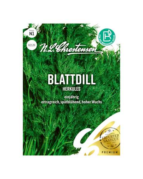 Blattdill Herkules