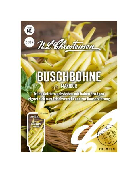 Buschbohne Maxidor