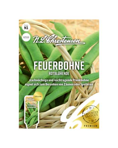 Feuerbohne Rotblühende