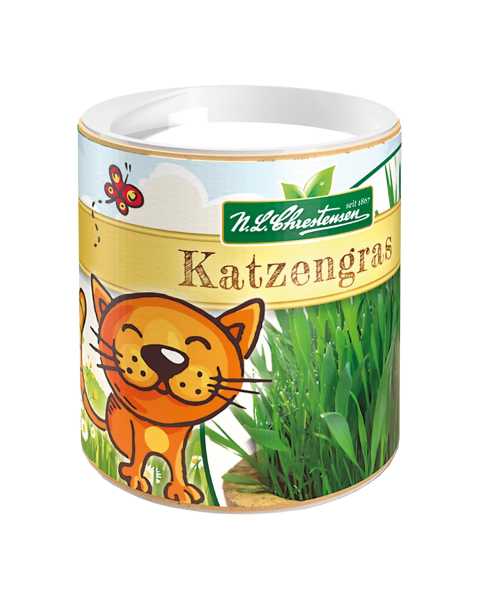 Katzengras