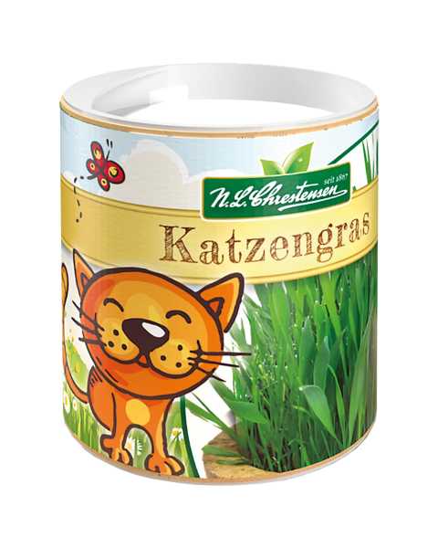 Katzengras