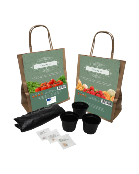 Anzuchtset Rezepttüte