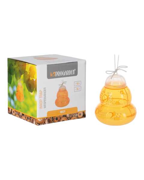 Wespenfänger im Farbkarton