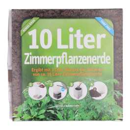 ufopflanze groß Glückstaler – ruuds main image 1