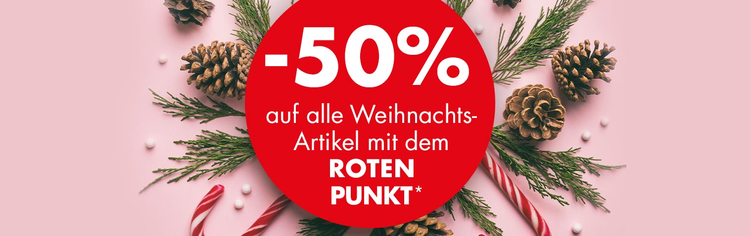 Aktuelles Prospekt